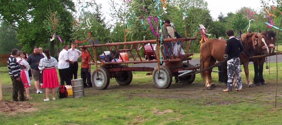 Staro�esk&eacute; m&aacute;je 2008