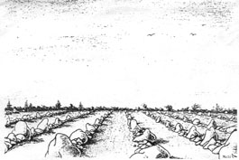Kounovsk� kameny