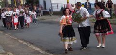 Staro�esk&eacute; m&aacute;je 2008