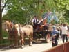 Staro�esk&eacute; m&aacute;je 2003
